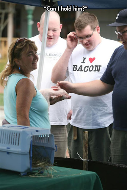 i love bacon shirt, i love bacon shirt with pig, baby pig, tshirt irony, bacon meme, bacon funny, farm funny
