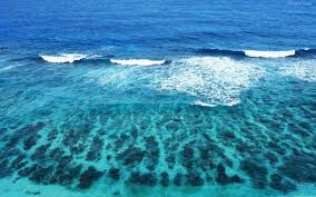 mar transparente Fotos de mar gratis
