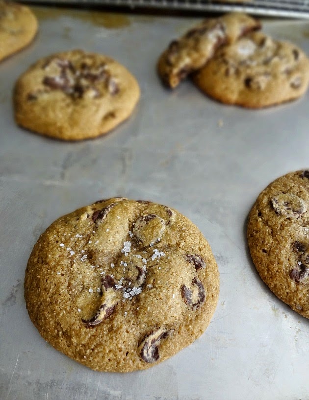 The Cooking Actress Greek Yogurt Chocolate Chip Cookies
