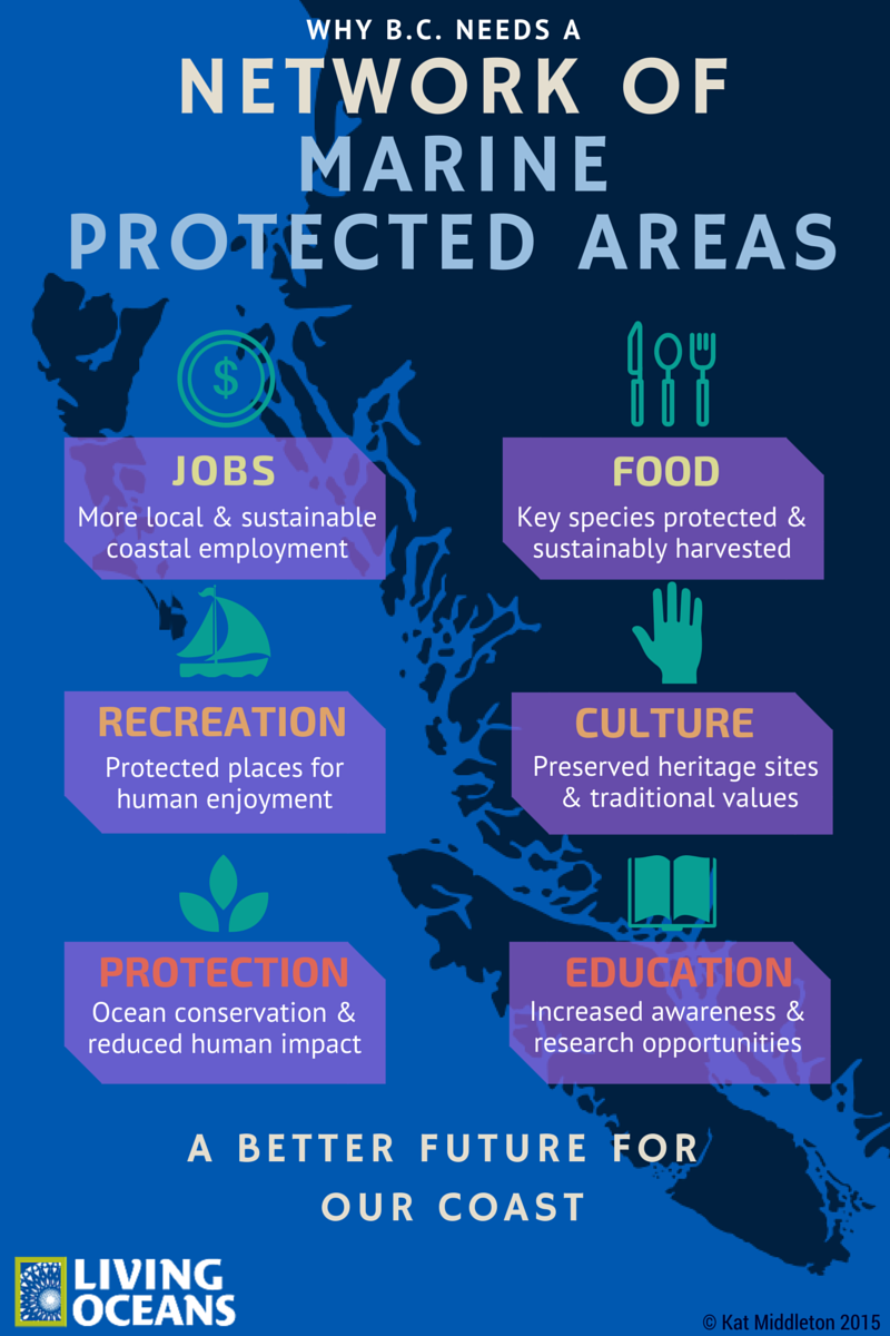 Water Blogged MPAs Work Together for Healthy Oceans and Communities