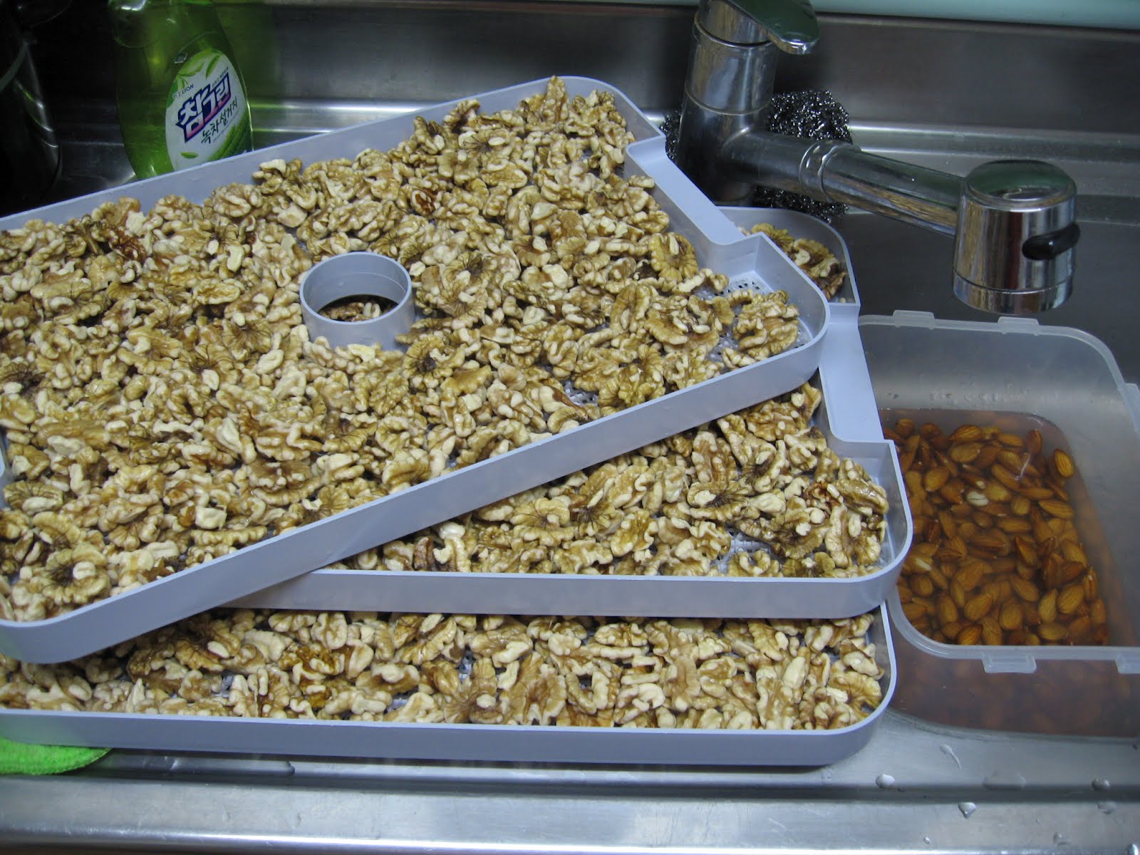 Systemic Candida Soaking and Washing Nuts