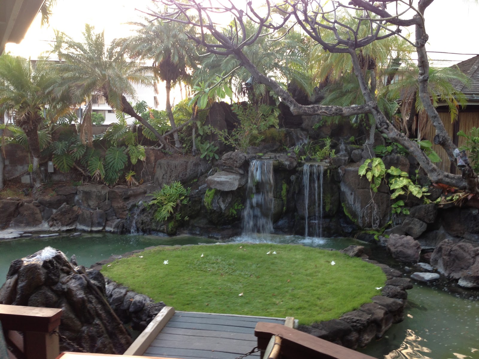 TASTE OF HAWAII THE WILLOWS HONOLULU, HAWAII