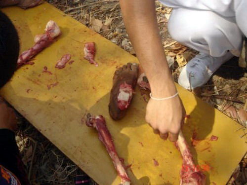 Mengerikan, Aliran Sesat Membunuh Dan Berpesta Memakan Daging Manusia 
