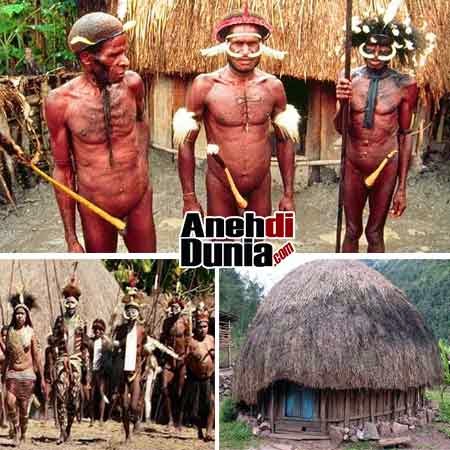 49+ Gambar Rumah Adat Suku Papua Pics