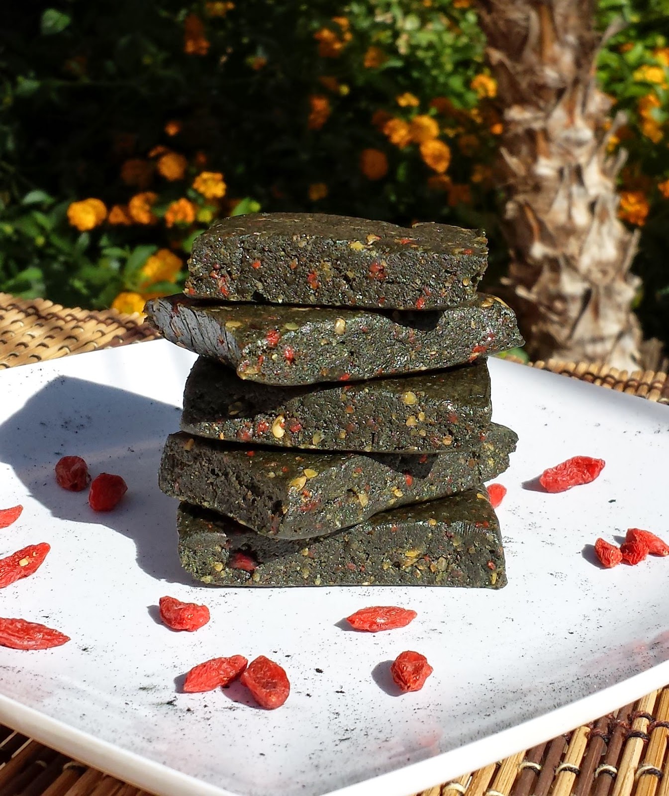 Raw Vegan Recipes by Rocki Raw Green Protein Bars Vegan and GlutenFree
