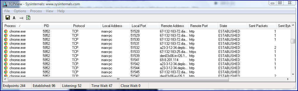 what is tcpview and netstat used for