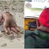 Grupo de turistas flagra casal fazendo sexo em praia do Nordeste; Veja o vídeo.