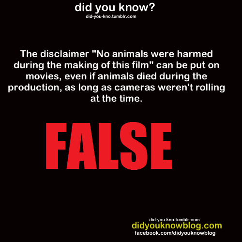 Internet Truth Debunked: DID YOU KNOW DEBUNKED - No Animals Harmed