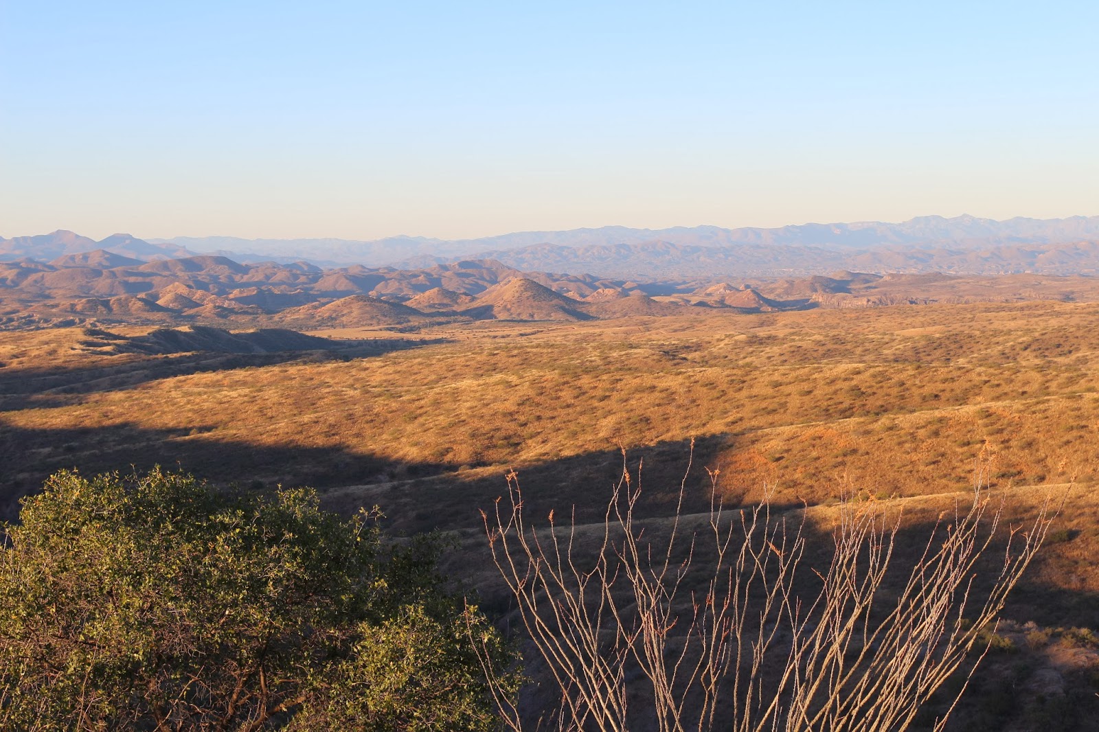 Coues+Deer+Hunting+Photo+with+Colburn+and+Scott+Outfitters+in+Sonora+Mexico+big+coues+bucks+7.JPG
