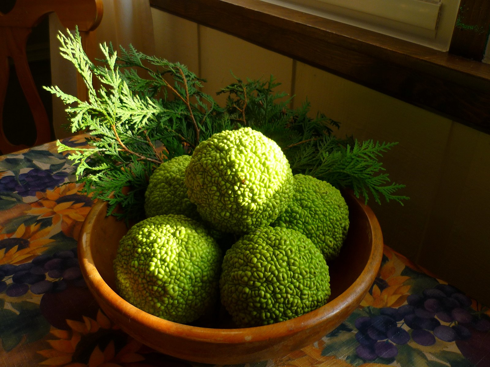 At Home in English Valley Gifts of Nature