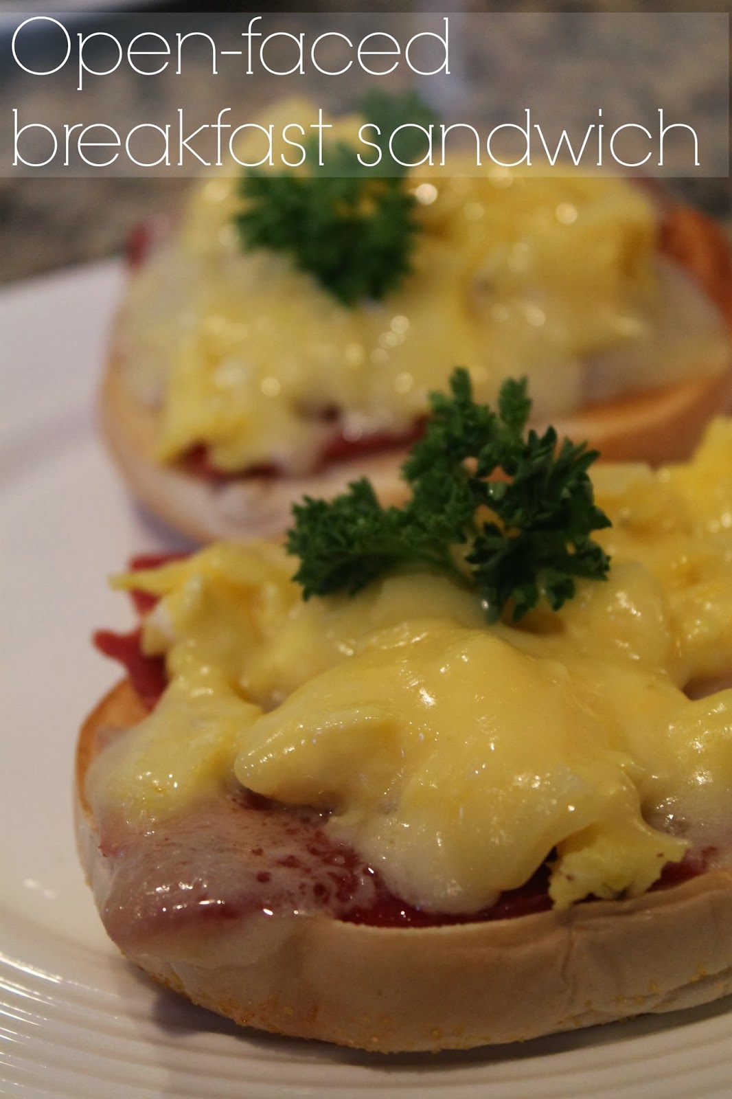 Notes from the Nelsens Openfaced breakfast sandwich