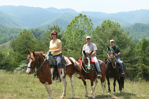 See the Mountains from Horseback