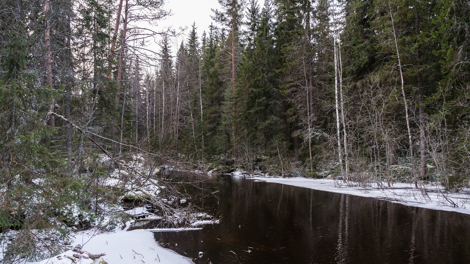  Lammasjärven laavulla 2014-01