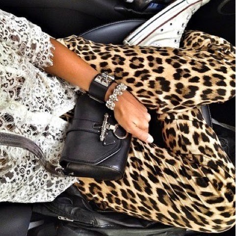 mania leopard