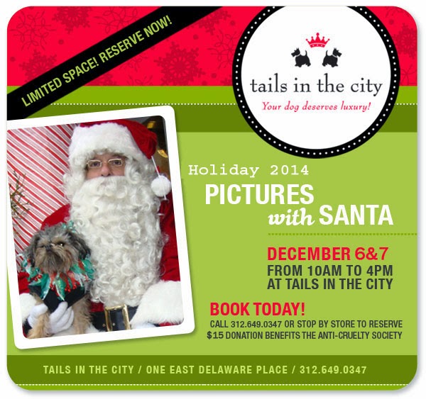 Tails in the City Pictures With Santa