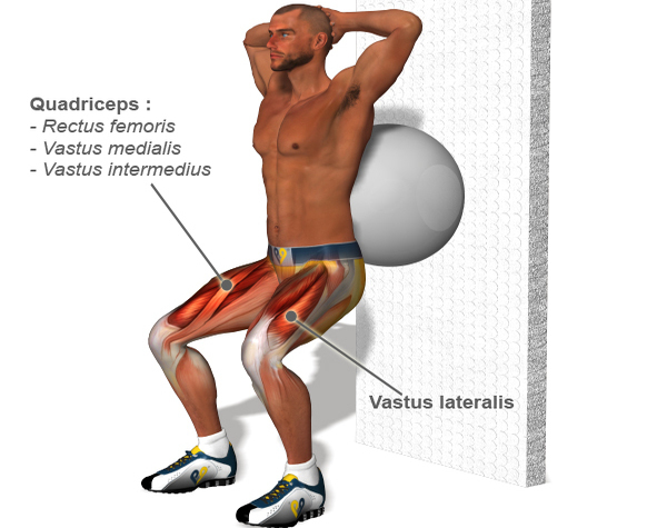 muscle strengthening quadriceps muscle strengthening program what exercise works the quadriceps