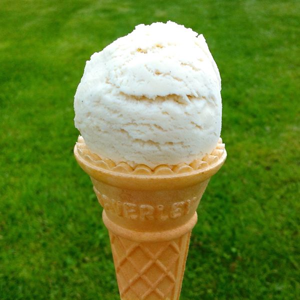 VEGANOO Vegan Reviews Taste Test Vegan Ice Cream Cones