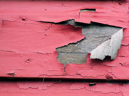 the daily suse facts about lead paint judging the lead free is