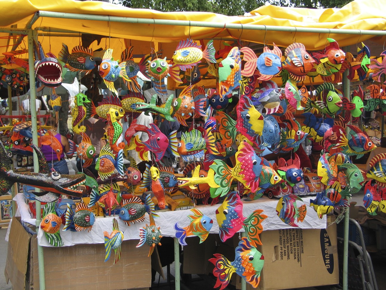 Country Pleasures Fly Fishing Christmas Shopping in Havana