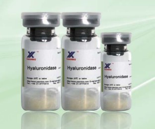 BLOG de CIRUGIA PLASTICA del Dr. FDEZ. GGUILARTE HIALURONIDASA COMO