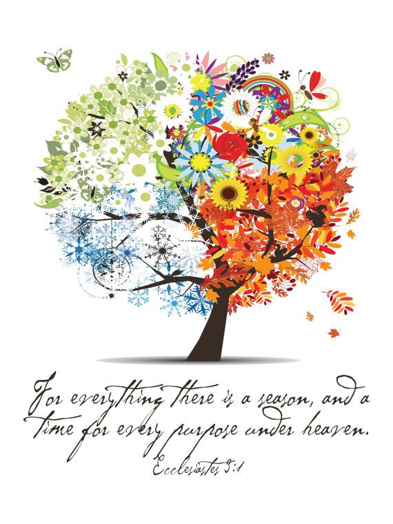 Reflections of a Theology Student Ecclesiastes 318