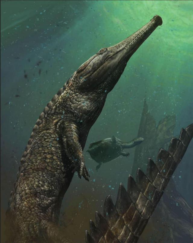 http://1.bp.blogspot.com/-PFuKmfPItuE/VpaHDRbPgTI/AAAAAAAA0qU/uUn0HIUqfq4/s1600/small-machimosaurus-rex.jpg