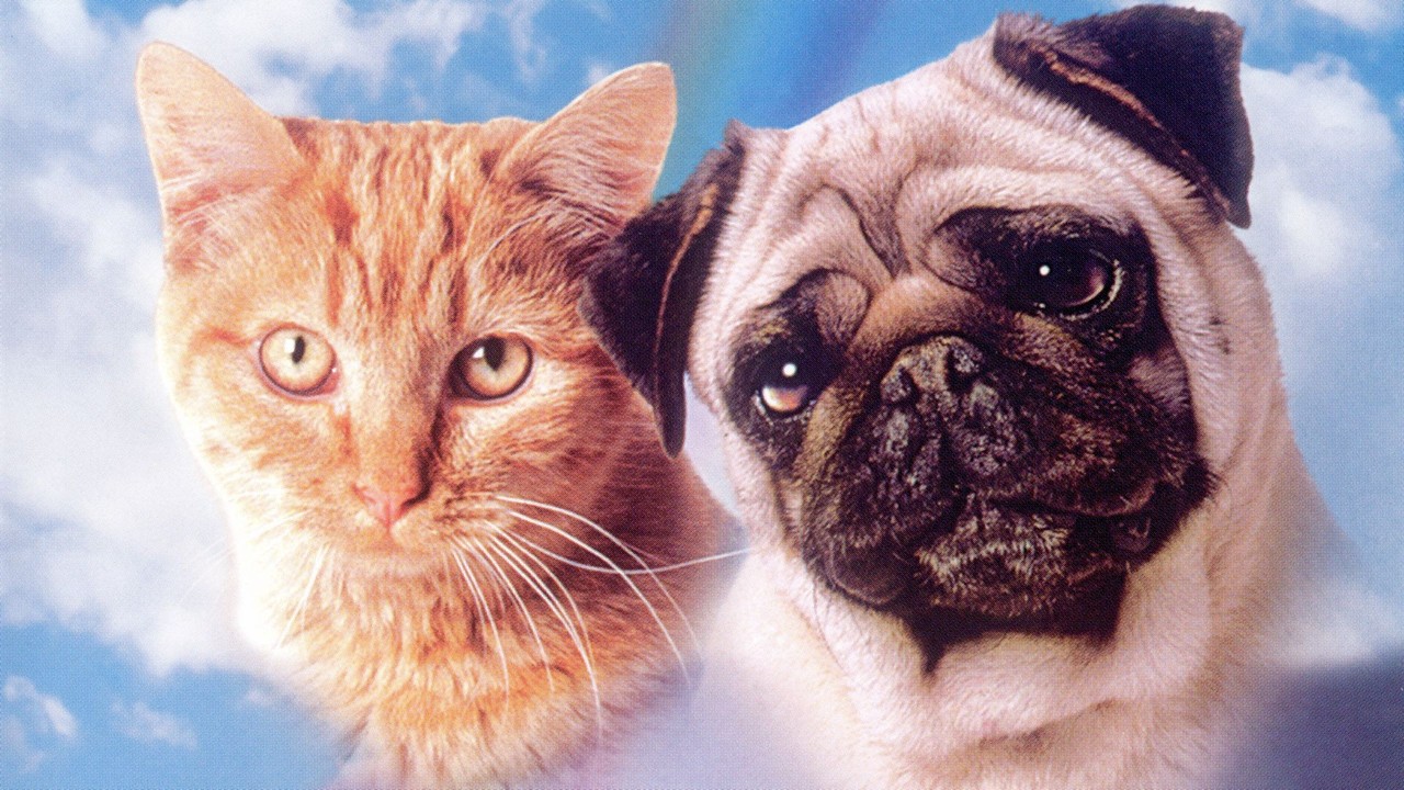 milo and otis milo and otis