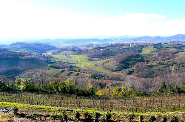 tokaj wine region historic cultural
