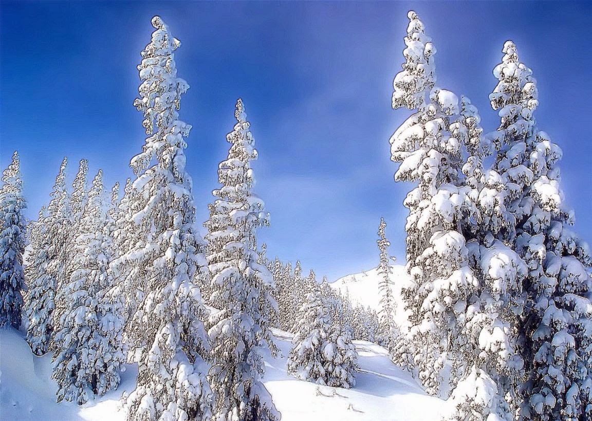 Beautiful Winter Landscapes Wallpaper