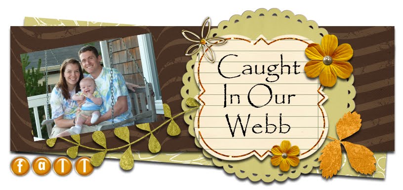Caught In Our WEBB