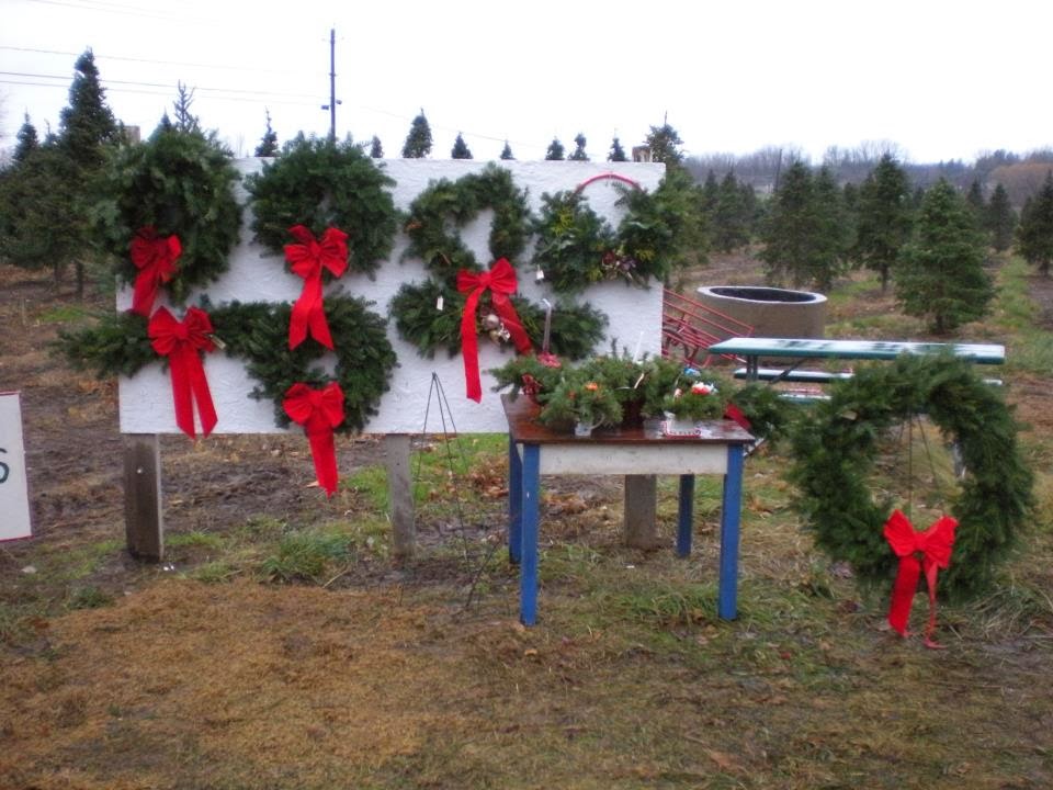 Woody Acres Christmas Trees