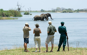 Majete Game Reserve