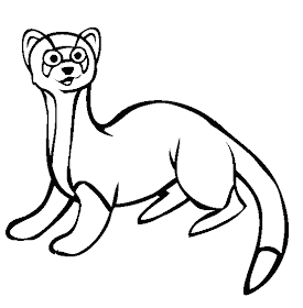 Desene De Colorat Si Planse Educative Foi De Colorat Cu Animale Salbatice Dihorul