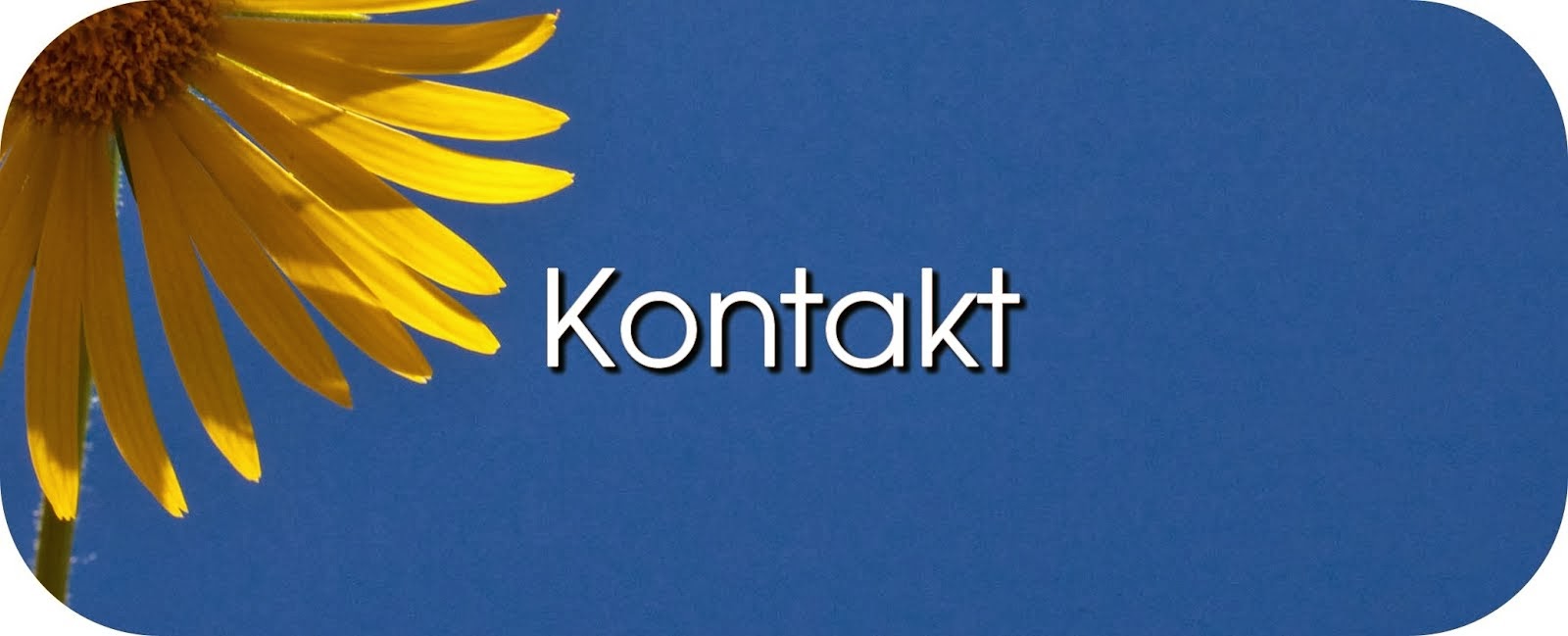 Kontakt