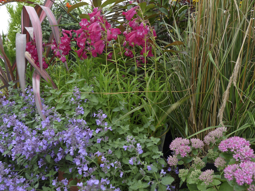 the garden Gardens On A Roll