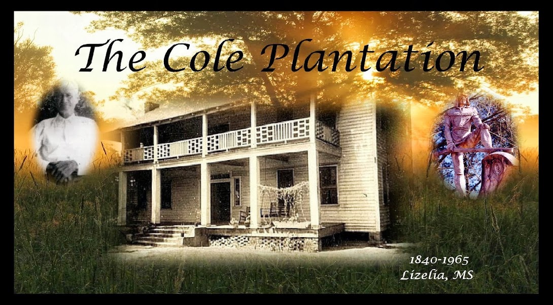 The Cole Plantation
