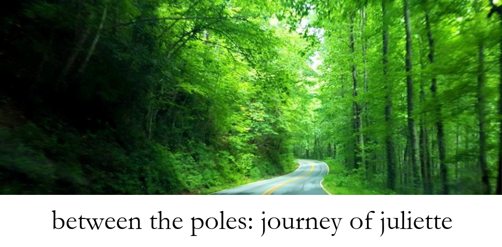 Between the Poles: Journey of Juliette
