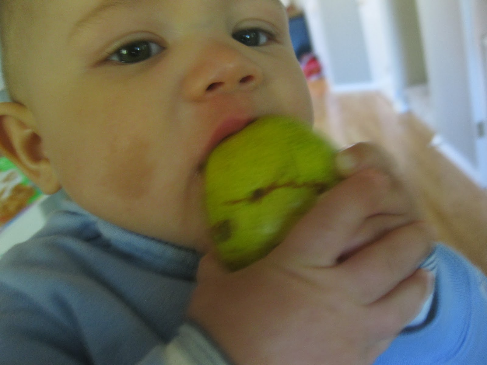 Vegan Mommy Chef BabyLedWeaning with Allergies Ideas for ages 68