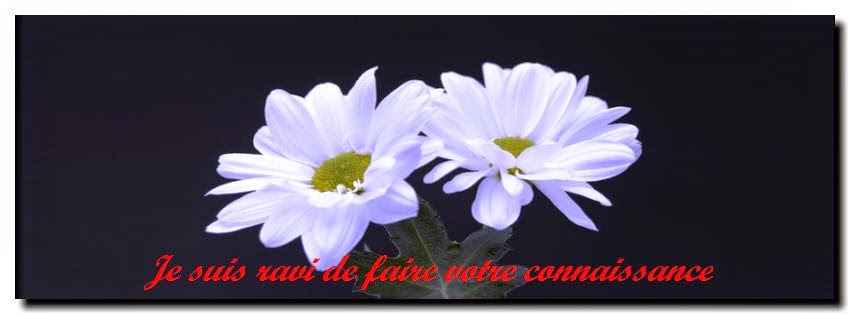 Rencontre sms texto