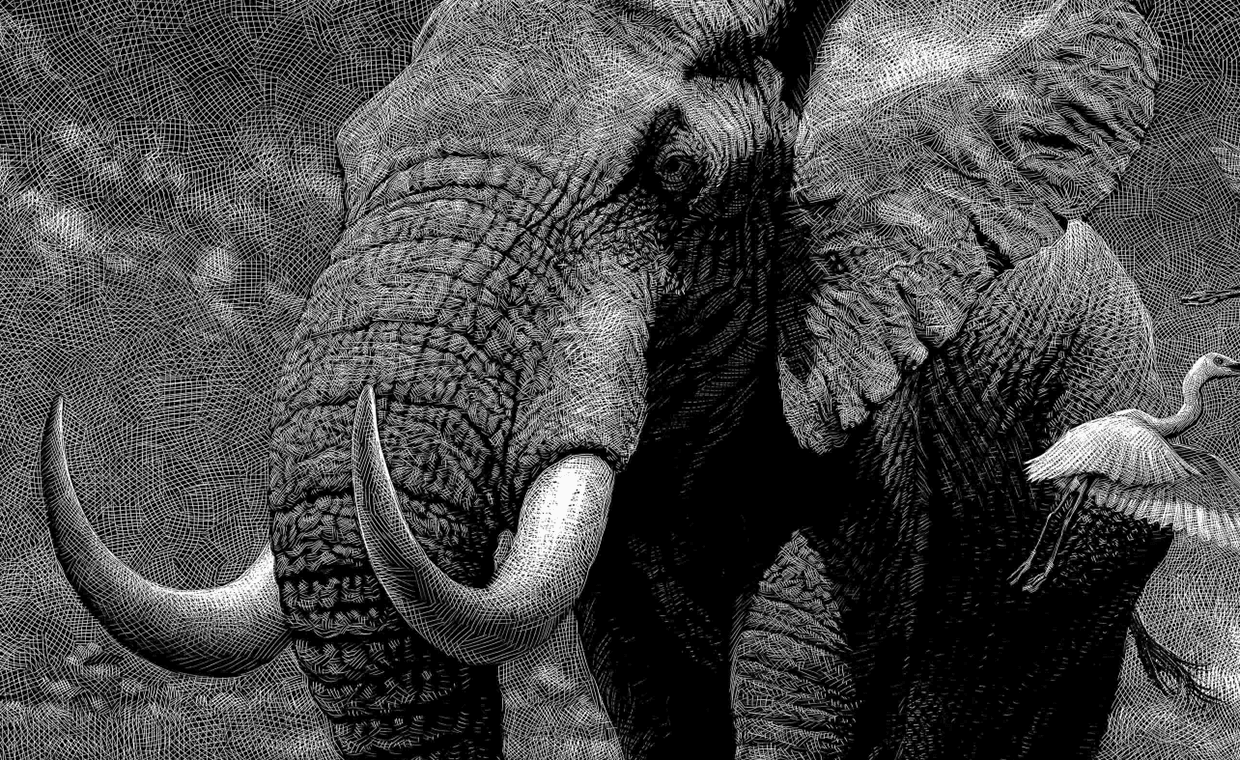 Design Stack A Blog about Art, Design and Architecture Wild Animals