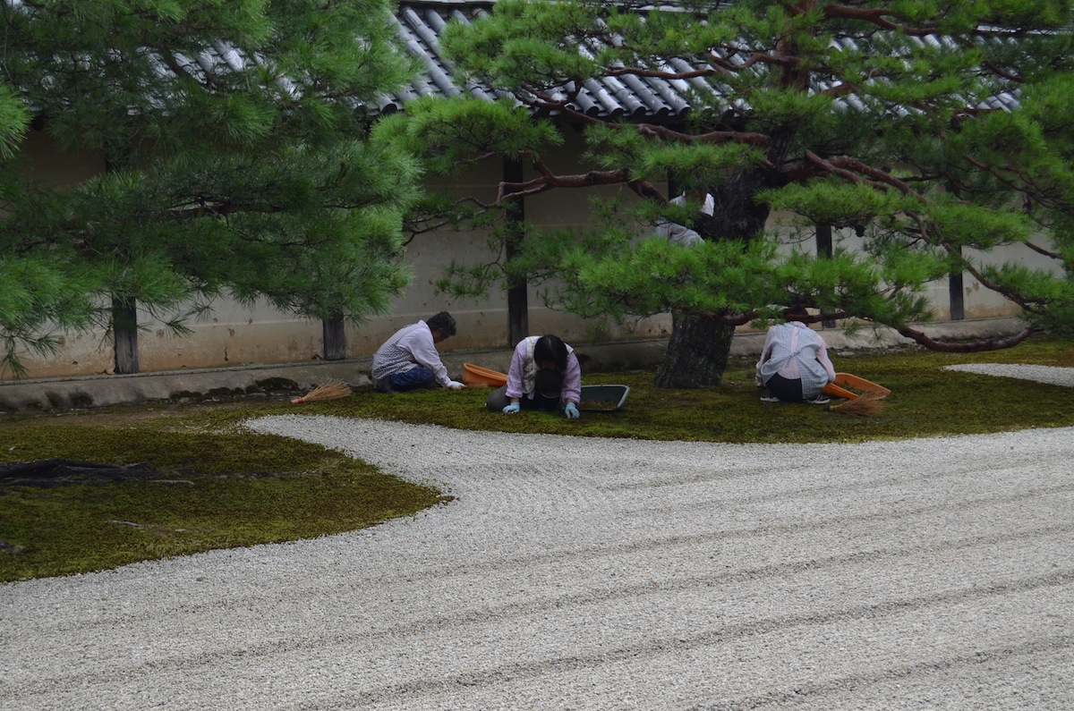 Noel's Garden Blog: A hard look at the Japanese garden - Part One