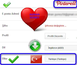 Pinterest Sosyal Paylaşım Site Ülke sekmesinde Türkiy'nin görüntüsü