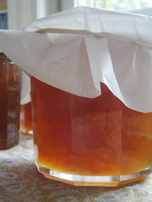 Let's Make Orange Marmalade