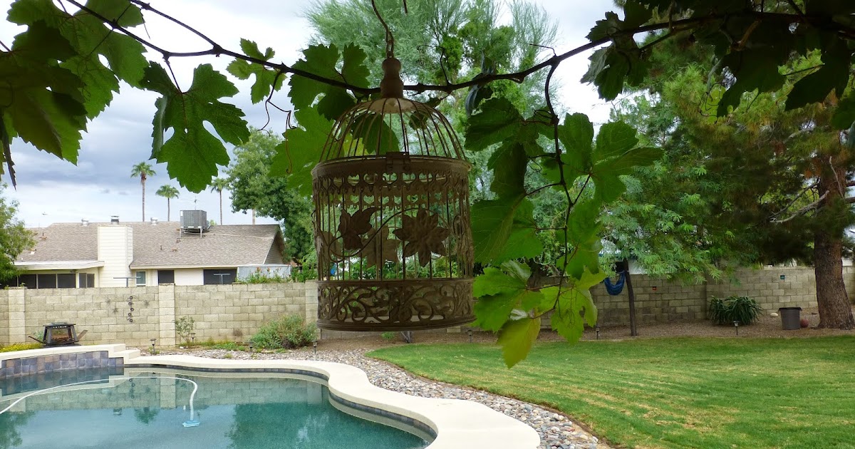 Your own backyard...