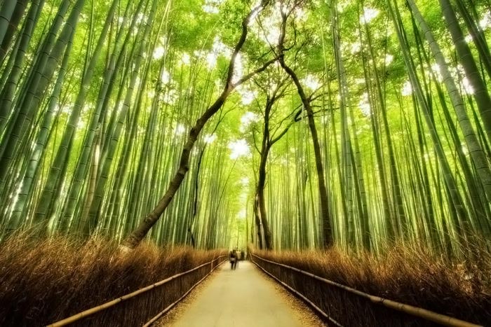 صـــــور مذهــلــه بتقنيــه HDR - ط¸â% صـــــور مذهــلــه بتقنيــه HDR - ط¸â%