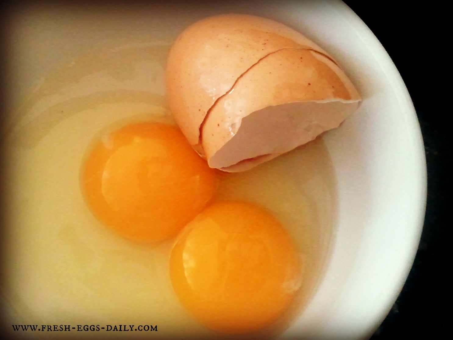 Xanthophyll It's What Makes Chicken and Duck Egg Yolks Orange Fresh