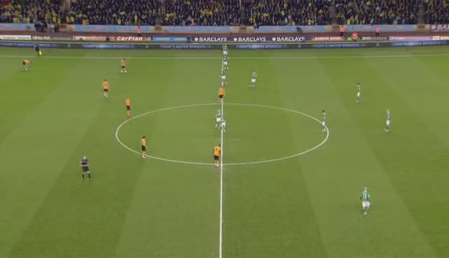 Epl Wolves