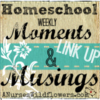 http://anurseswildflowers.com/homeschool-weekly-moments-and-musings-guidelines/