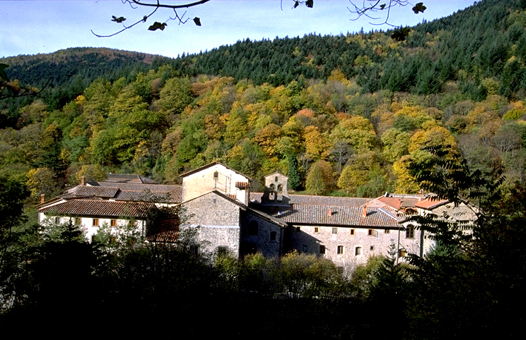 Camaldolese Monks