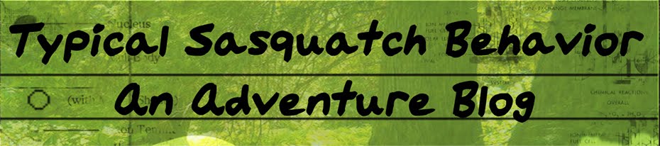 Typical Sasquatch Behavior: An Adventure Blog